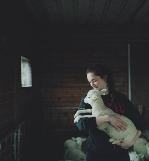一个学生在牲口棚里抱着一只羔羊