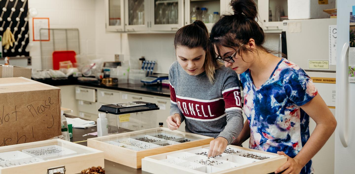 两个学生在实验室组织研究样本。