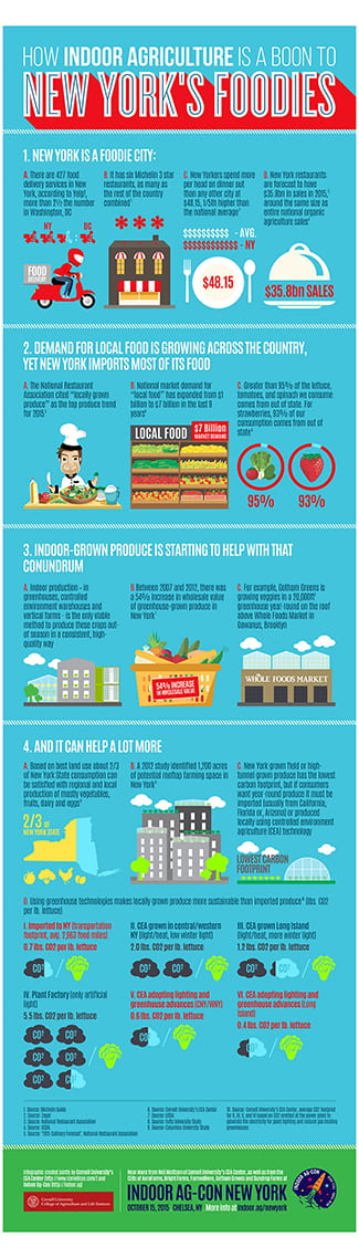 CEA-Footie Infographic