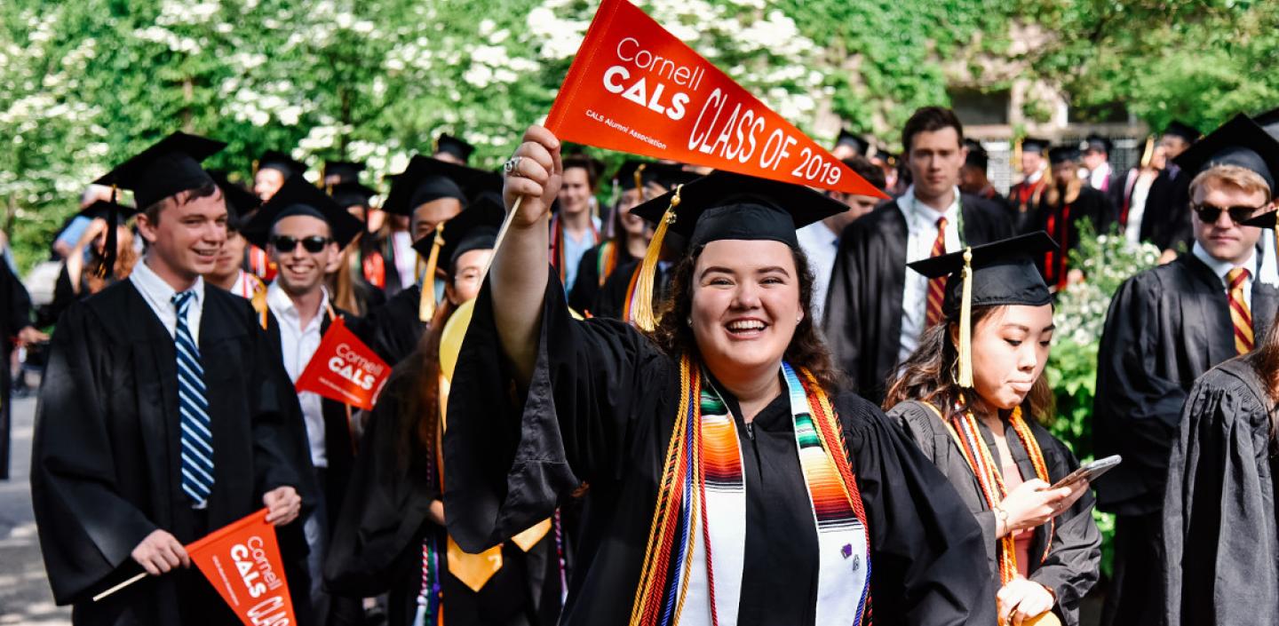 bob首页Cornell Cals学生在他们的毕业典礼上