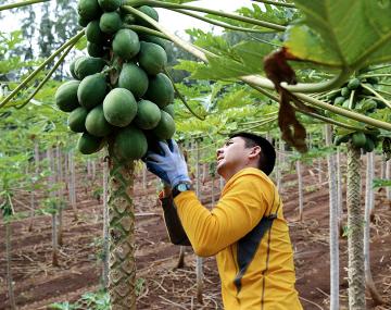 国际研究学生调查植物。