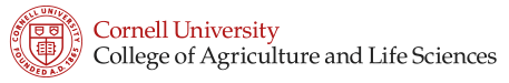 康奈尔大学