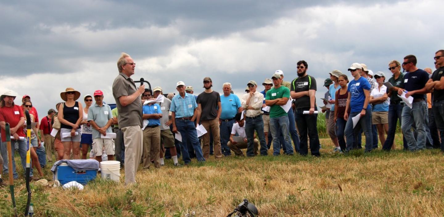 人们站在田野里