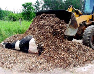 前装载机移动堆肥