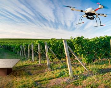 无人机在葡萄园