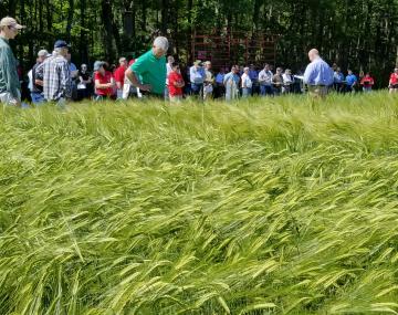 人们站在田野里