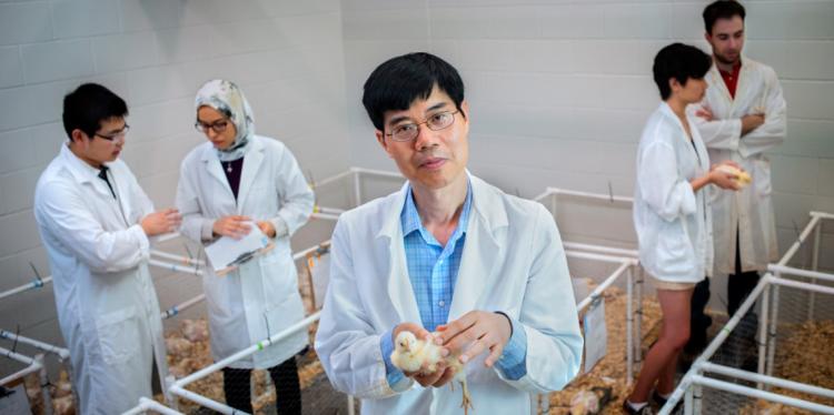 科学 研究 補助 金 科学 研究 補助 金