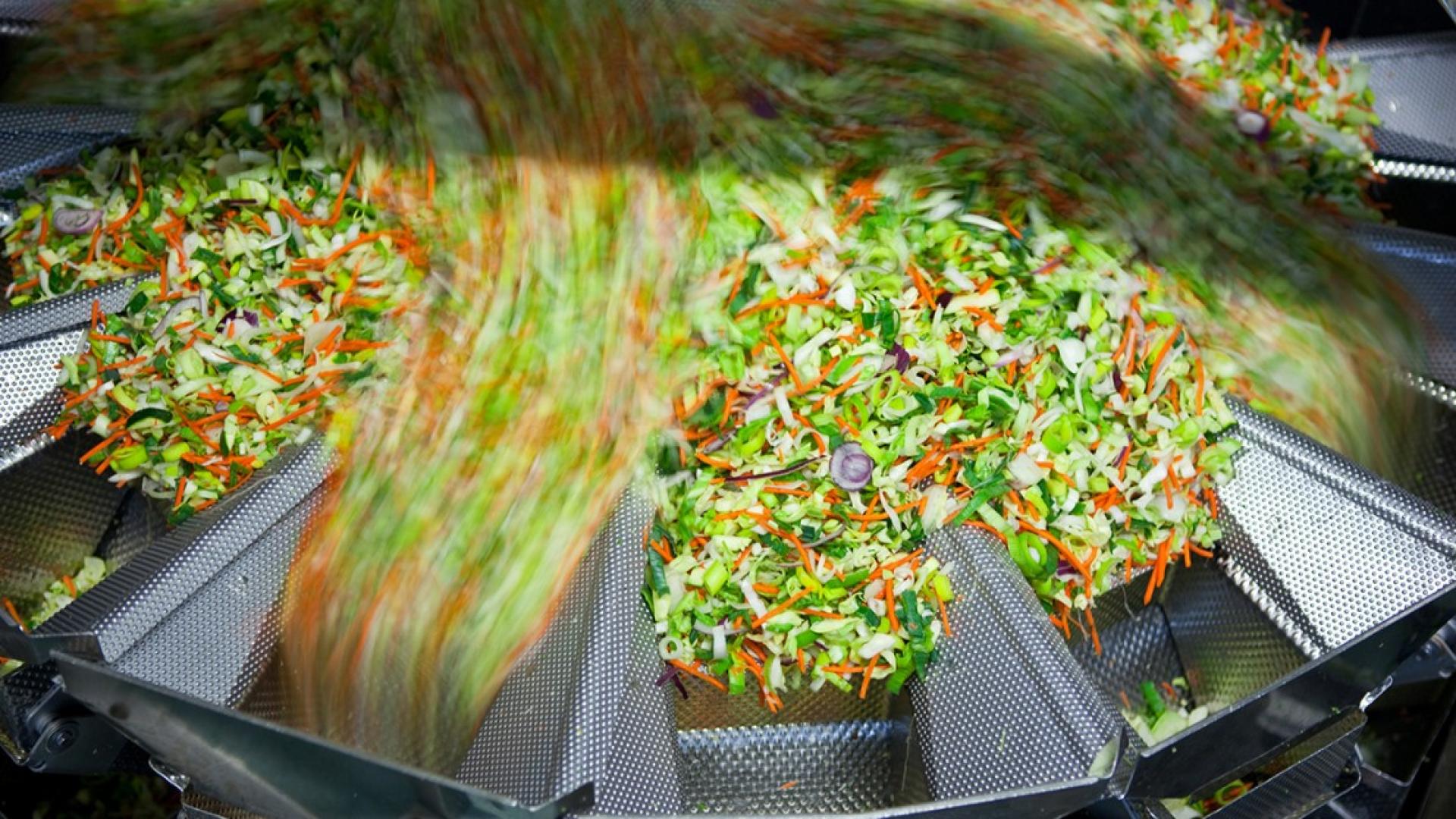 吐出切碎的沙拉的工厂食品加工机
