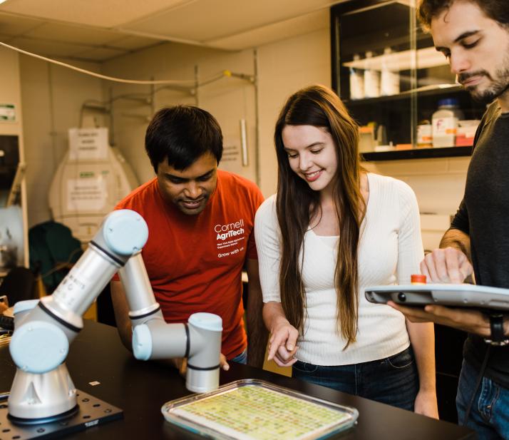 三家科学家在实验室看植物样品