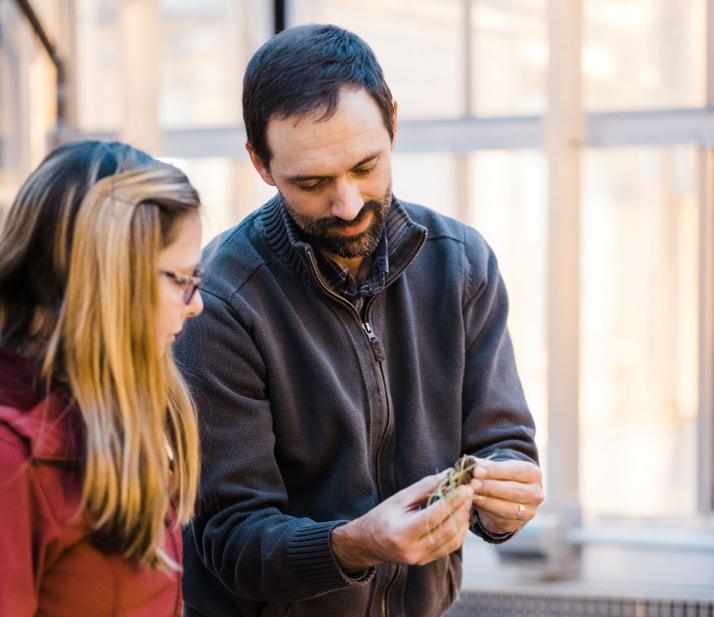 两个人在温室里看草皮样本