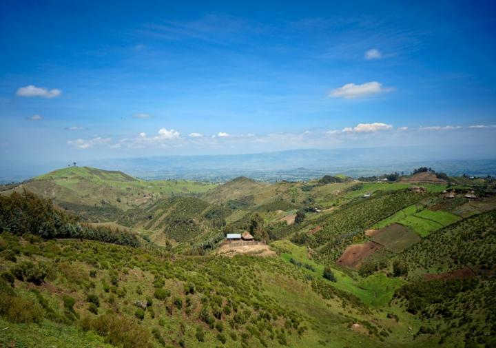 在小山的绿色农厂剧情在与蓝天的距离