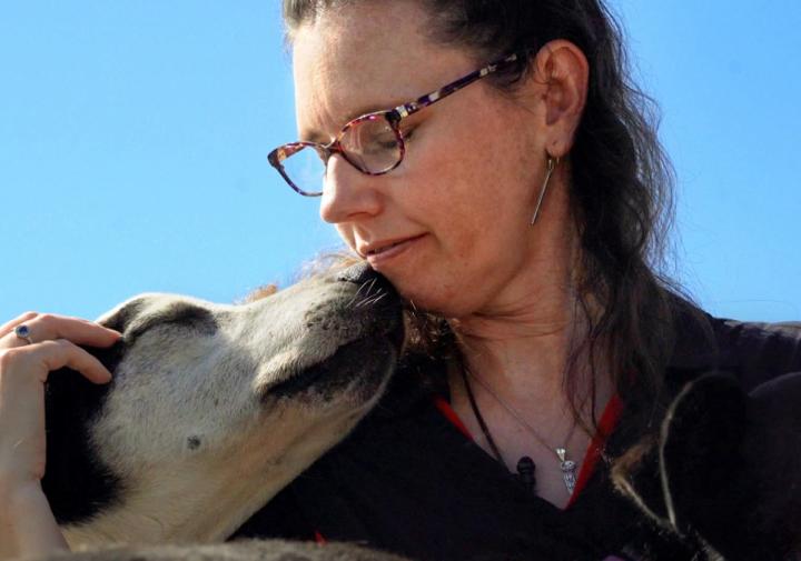 一位戴眼镜的女士低头抚摸着一只黑白相间的狗，而这只狗也抬头看着她