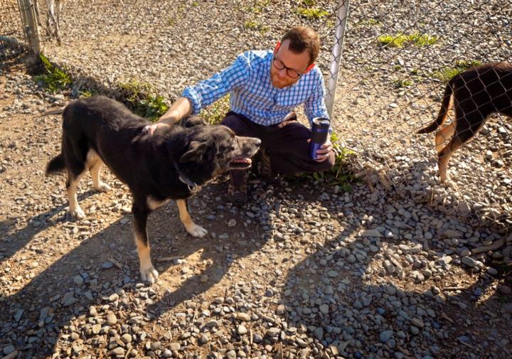 一个男人蹲在一只狗旁边抚摸它