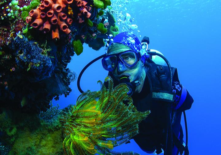 潜水在海洋中的一个人在明亮的彩色珊瑚附近