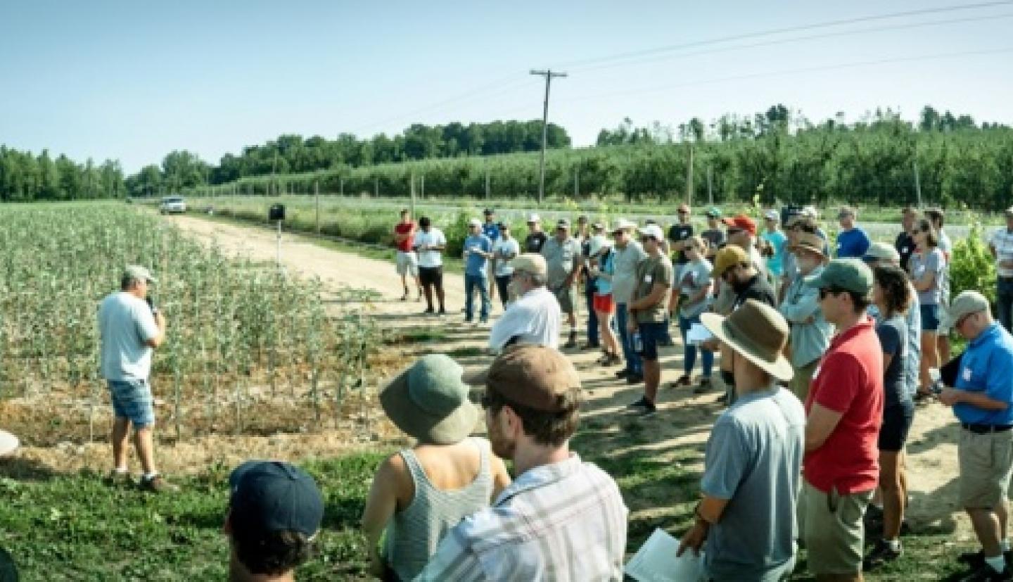在苹果园中听着指导