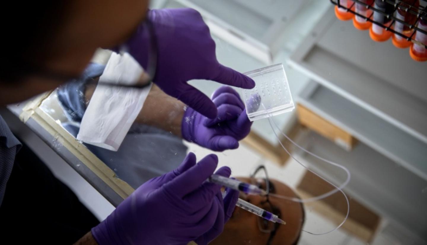 研究人员在微芯片上工作