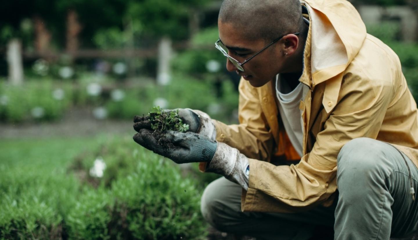 亚历克斯·康奈尔花园