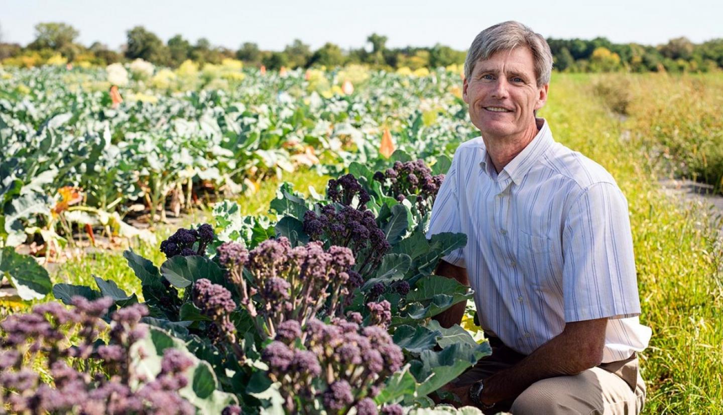 一个白色的男性蹲在西兰花植物旁边，微笑在西兰花的大庄稼领域中间