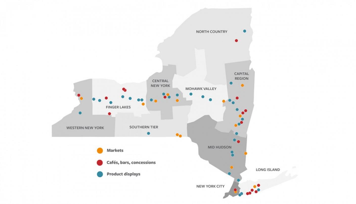 纽约州的地图与不同的彩色点在整个州中致辞