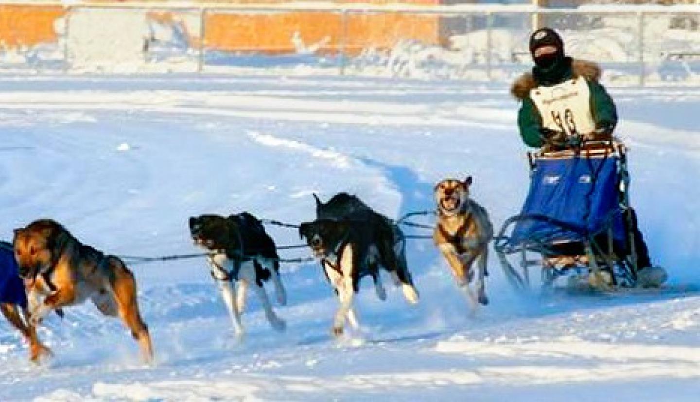 一个人在雪的雪上的雪橇上拉扯