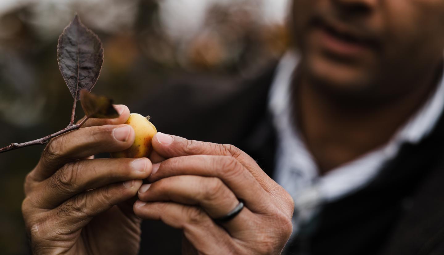 这是一个人用手检查植物的特写。