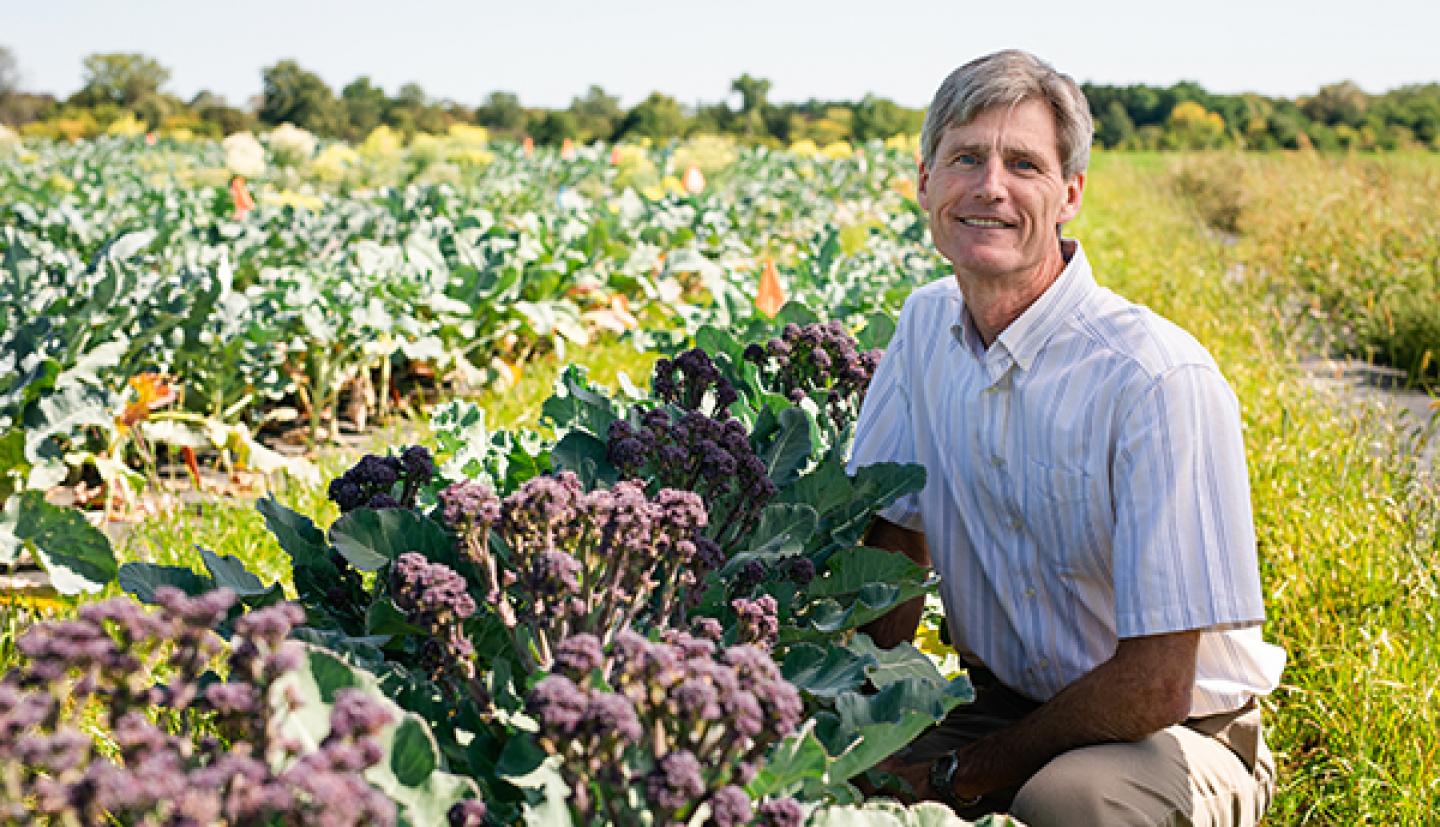 坐在领域的人。