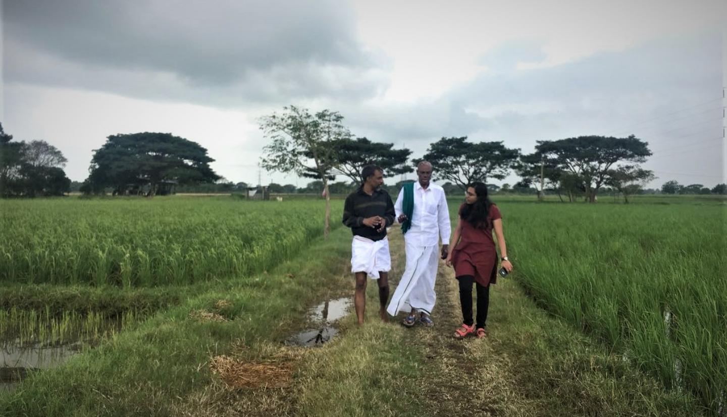 Anjana Ramkumar和两个人在田野里散步