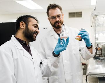 在实验室工作的植物科学研究人员。